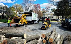 Best Fruit Tree Pruning  in New Lno, LA