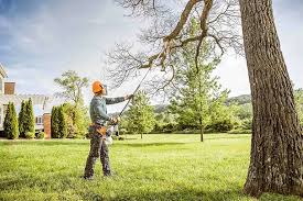 How Our Tree Care Process Works  in  New Llano, LA